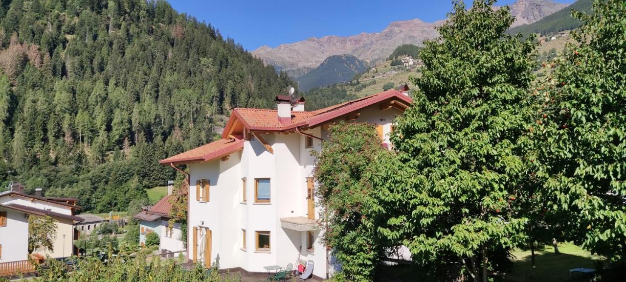 Appartamento Mary - Casa Green - Dog Friendly, Box Auto Cogolo Exterior photo